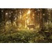 Фотообои Лесной олень DECOCODE 32-0006-PG (300х200см) купить недорого в Невеле