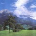 Декоративное панно Альпийский луг 294х201  (9 листов) купить недорого в Невеле