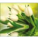 Купить Декоративное панно VIP Белые тюльпаны 294х260 (12 листов)   в Невеле в Интернет-магазине Remont Doma