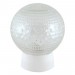 Светильник TDM НББ 64-60-025 УХЛ4 шар стекло "Цветочек" (прямое основание)  купить недорого в Невеле