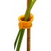 Купить Клипса для подвязки растений PROTEX «ФЛОРА» в Невеле в Интернет-магазине Remont Doma