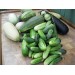 Купить Удобрение Агровита для огурцов  и кабачков 100г в Невеле в Интернет-магазине Remont Doma