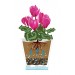 Купить Горшок цветочный для орхидеи "Лея" 5 литров (с автополивом)(прозрачный)  в Невеле в Интернет-магазине Remont Doma