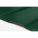 Купить Профнастил С-8 RAL 6005 зеленый мох 0,35х1200х1500 мм в Невеле в Интернет-магазине Remont Doma